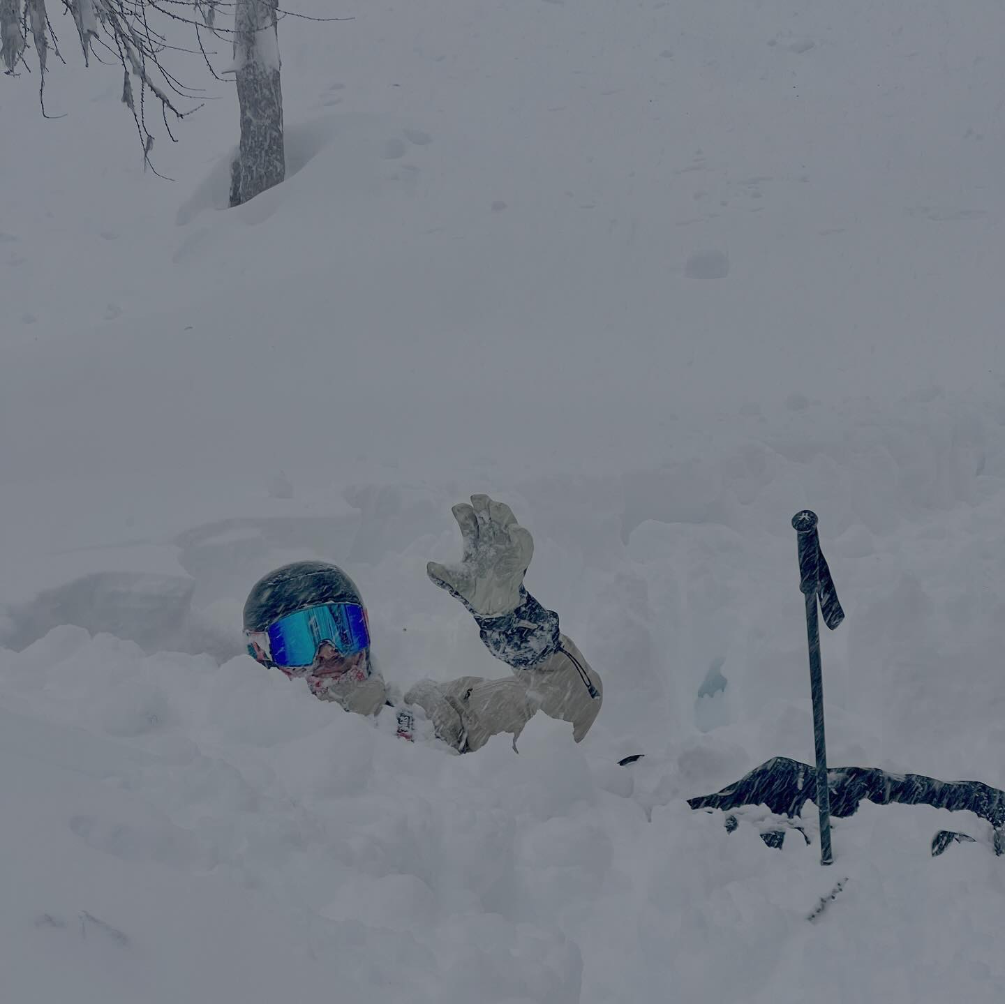 i-wish-you-all-a-merry-christmas-i-get-to-spend-some-amazing-days-at-home-with-friends-and-family.-f